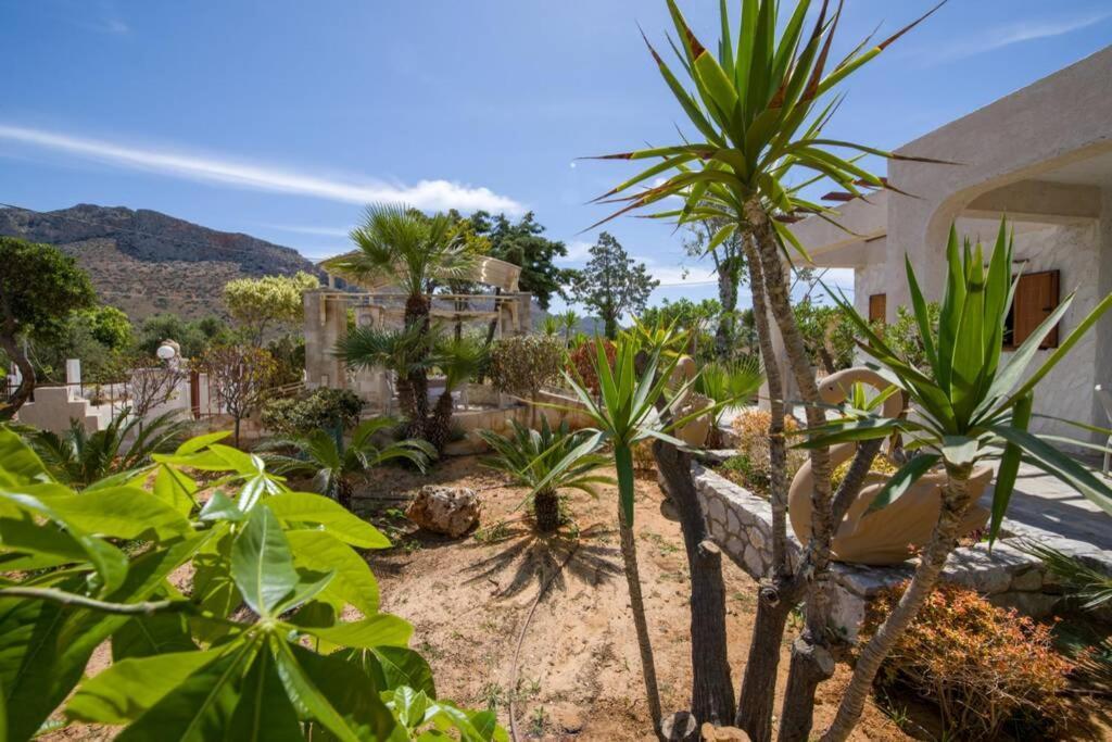 Villa Renas Secret Garden House Chania  Exterior foto