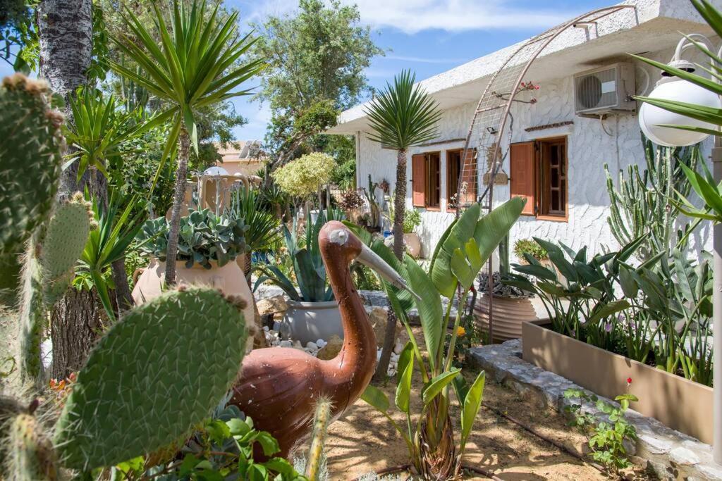 Villa Renas Secret Garden House Chania  Exterior foto